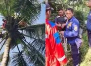 Diduga Serangan Jantung, Pencari Janur Ditemukan Meninggal di Pohon Kelapa 10 Tragedi di Pohon Kelapa: Pencari Janur Ditemukan Tak Bernyawa Diduga Serangan Jantung