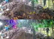 Tragis di Lahat Bus Al Hijrah Terperosok ke Jurang Penumpang Anak Tewas