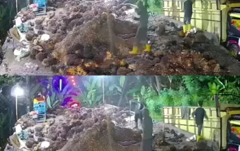 Tragis di Lahat Bus Al Hijrah Terperosok ke Jurang Penumpang Anak Tewas