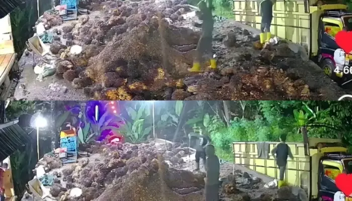 Bus Al Hijrah Terjun ke Jurang di Lahat, Satu Penumpang Anak Tewas