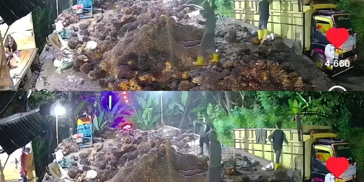 Tragis di Lahat Bus Al Hijrah Terperosok ke Jurang Penumpang Anak Tewas