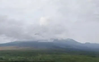 Aktivitas Gunung Semeru Meningkat, 17 Kali Erupsi Terekam, Warga Diminta Waspada 5 Update Gunung Semeru Hari Ini 17 Kali Erupsi Tercatat Warga Diimbau Waspada Zona Bahaya