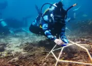 Aksi Nyata Brigitta Gunawan, Gabungkan VR dan Edukasi untuk Selamatkan Karang