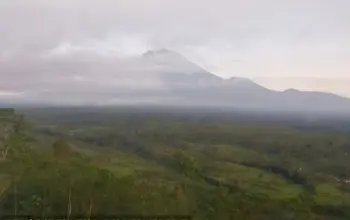 Gunung Semeru Catat 27 Letusan, Zona Bahaya Diperluas hingga 17 Km 7 Aktivitas Gunung Semeru Meningkat 27 Letusan Terdeteksi Zona Bahaya Meluas 17 Km