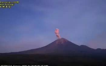 Erupsi Gunung Semeru 23 April 2026 Kolom Abu Setinggi 1 Km Warga Diminta Siaga