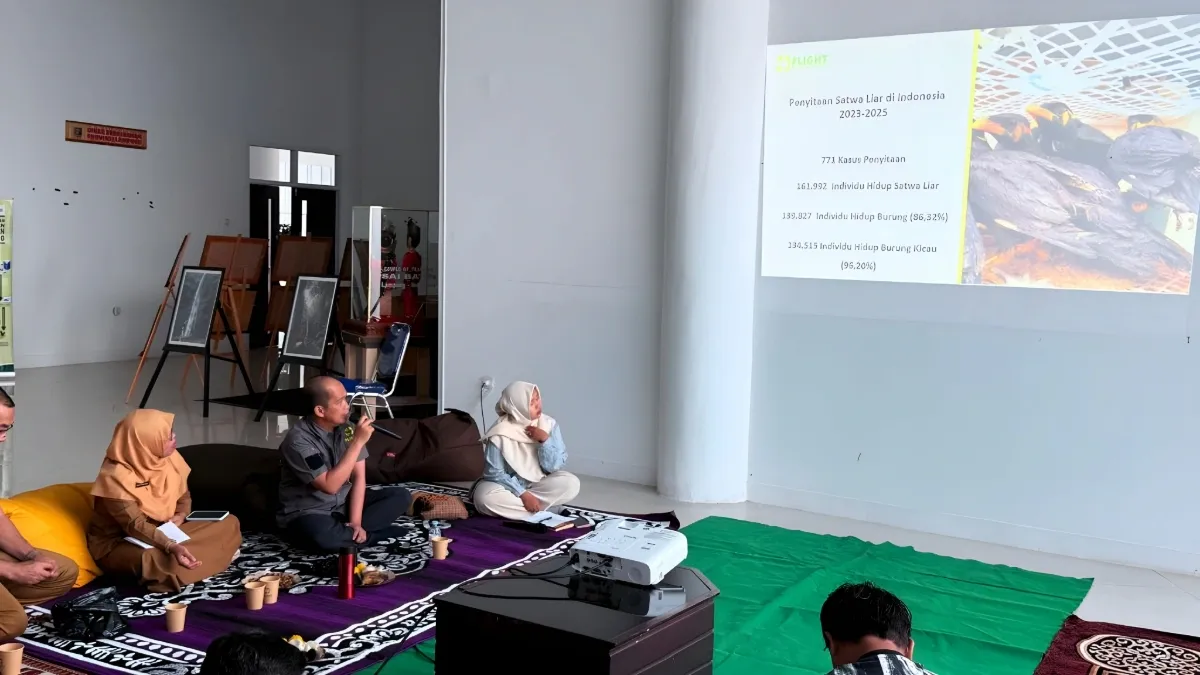 FLIGHT Ungkap 14 Ribu Burung Diselamatkan di Lampung Mayoritas Hendak Diselundupkan ke Jawa