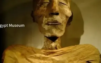 Merneptah: Benarkah Firaun yang Tenggelam Saat Kejar Nabi Musa? 7 Fakta Merneptah: Apakah Ia Firaun yang Tenggelam Mengejar Nabi Musa? Simak Penjelasannya