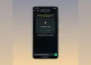 Fitur Baru WhatsApp: Guest Chat Bikin Kirim Pesan Tanpa Akun Jadi Mudah