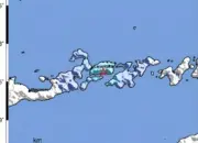 Gempa M3,8 Guncang Larantuka, Warga Flores Timur Sempat Rasakan Getaran