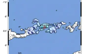 Gempa M3,8 Guncang Larantuka, Warga Flores Timur Sempat Rasakan Getaran