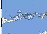 Gempa M3,8 Guncang Larantuka Pagi Hari, Getaran Terasa di Flores Timur
