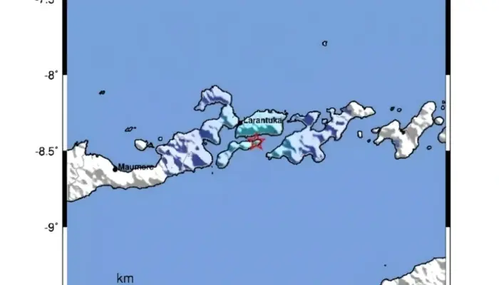 Gempa M3,8 Guncang Larantuka Pagi Hari, Getaran Terasa di Flores Timur