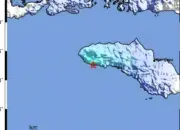 Gempa Magnitudo 4,3 Guncang Sumba Timur Dini Hari, Getaran Terasa di Beberapa Wilayah
