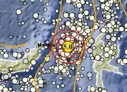 Gempa M5.0 Guncang Barat Laut Jailolo Maluku Utara, Dipastikan Tidak Berpotensi Tsunami