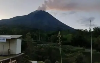 Gunung Merapi Kian Aktif, 42 Gempa Guguran Terekam, Warga Diminta Waspada