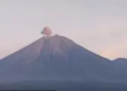 Gunung Semeru Keluarkan Abu Vulkanik, Warga Diimbau Tingkatkan Kewaspadaan