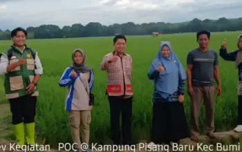 Inovasi PHC Rahmat Mirzani Djausal Buktikan Hasil, Petani Lampung Mulai Beralih ke Pupuk Hayati Cair