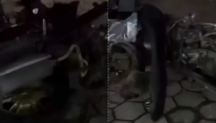 Kecelakaan Maut di Jalan Wates Bantul, 4 Orang Tewas, Ini Kronologinya