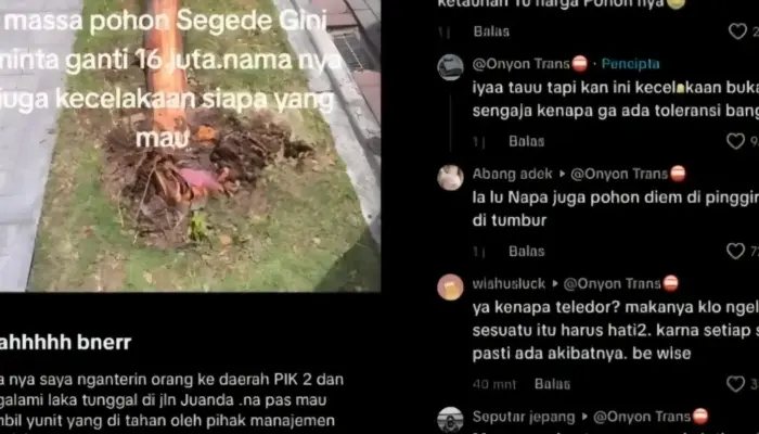 Pengemudi Tabrak Pohon di PIK 2 Diminta Ganti Rugi Rp16,5 Juta, Berharap Ada Keringanan