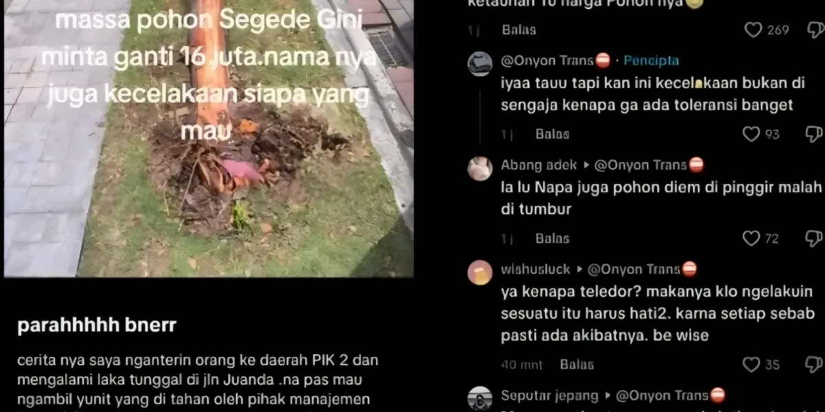 Insiden di PIK 2, Pengendara Tabrak Pohon dan Dibebani Ganti Rugi Rp16 Juta