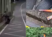 Warga Trowulan Ditemukan Meninggal di Bawah Jembatan Cangar, Dashcam Menjadi Petunjuk Penyidikan 11 Kejadian Nahas! Warga Trowulan Ditemukan Tewas di Bawah Jembatan Cangar, Dashcam Menyimpan Bukti