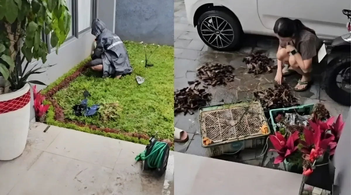 Niat Menolong Penjual Tanaman Pria Ini Justru Kena Tagihan Rp3 Juta