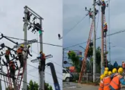 PLN Cepat Pulihkan Listrik Akibat Tiang Ambruk di Jalan Bypass RS Immanuel Bandar Lampung 10 PLN Tindak Cepat Pulihkan Listrik Akibat Tiang Ambruk di Jalan Bypass RS Immanuel, Bandar Lampung