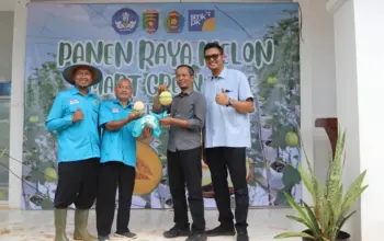 Polinela Ikuti Panen Raya Melon, Kolaborasi Vokasi Lampung Siapkan Siswa Hadapi Dunia Kerja