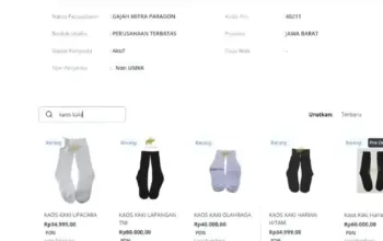 Sorotan Publik Anggaran BGN Rp69 Miliar untuk Kaos Kaki Jadi Perdebatan