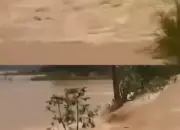 Tanggul Sungai Tuntang Kembali Jebol, Wilayah Guntur Demak Terendam Banjir 15 Tanggul Sungai Tuntang Runtuh Lagi, Banjir Besar Serang Wilayah Guntur Demak