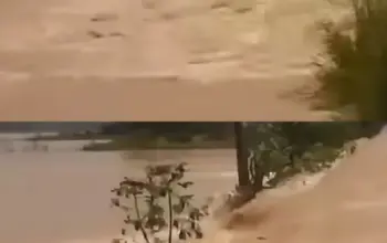 Tanggul Sungai Tuntang Kembali Jebol, Wilayah Guntur Demak Terendam Banjir 8 Tanggul Sungai Tuntang Runtuh Lagi, Banjir Besar Serang Wilayah Guntur Demak