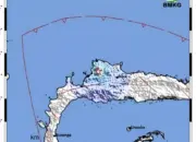 Gempa M4,3 Guncang Toli-Toli, Getaran Terasa hingga Skala III MMI 10 Terbaru! Gempa Magnitudo 4,3 Goyang Toli-Toli, Warga Rasakan Getaran