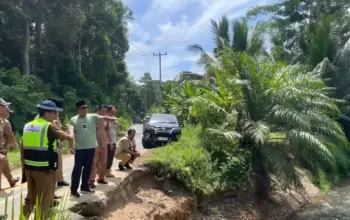DPRD dan Pemkab Pesisir Barat Tinjau Longsor yang Lumpuhkan Akses Jalan Warga Bengkunat 3 Tinjau Lokasi Longsor Bengkunat, Mad Muhizar dan Sekda Tedi Zadmiko Pastikan Respons Cepat Bagi Warga