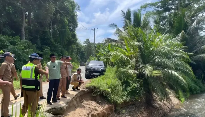 DPRD dan Pemkab Pesisir Barat Tinjau Longsor yang Lumpuhkan Akses Jalan Warga Bengkunat