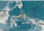 Tsunami Terpantau Usai Gempa 7,6 SR di Laut Maluku, Tinggi Gelombang Terbaru Dilaporkan
