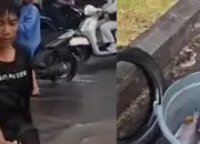 Viral Perempatan Demak Ijo Disulap Jadi Laut Ikan Warga Berebut Tangkap di Jalan