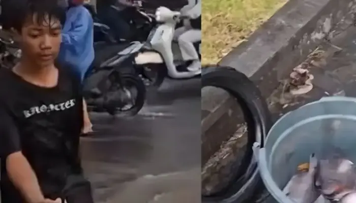 Viral di Sleman, Perempatan Demak Ijo Jadi “Laut Ikan” Usai Hujan Deras