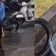 Viral Perempatan Demak Ijo Disulap Jadi Laut Ikan Warga Berebut Tangkap di Jalan