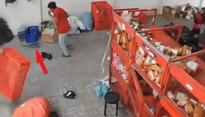 Viral di Threads! Paket Reptil Lepas di Kantor Ekspedisi, Kurir Panik Kejar-kejaran