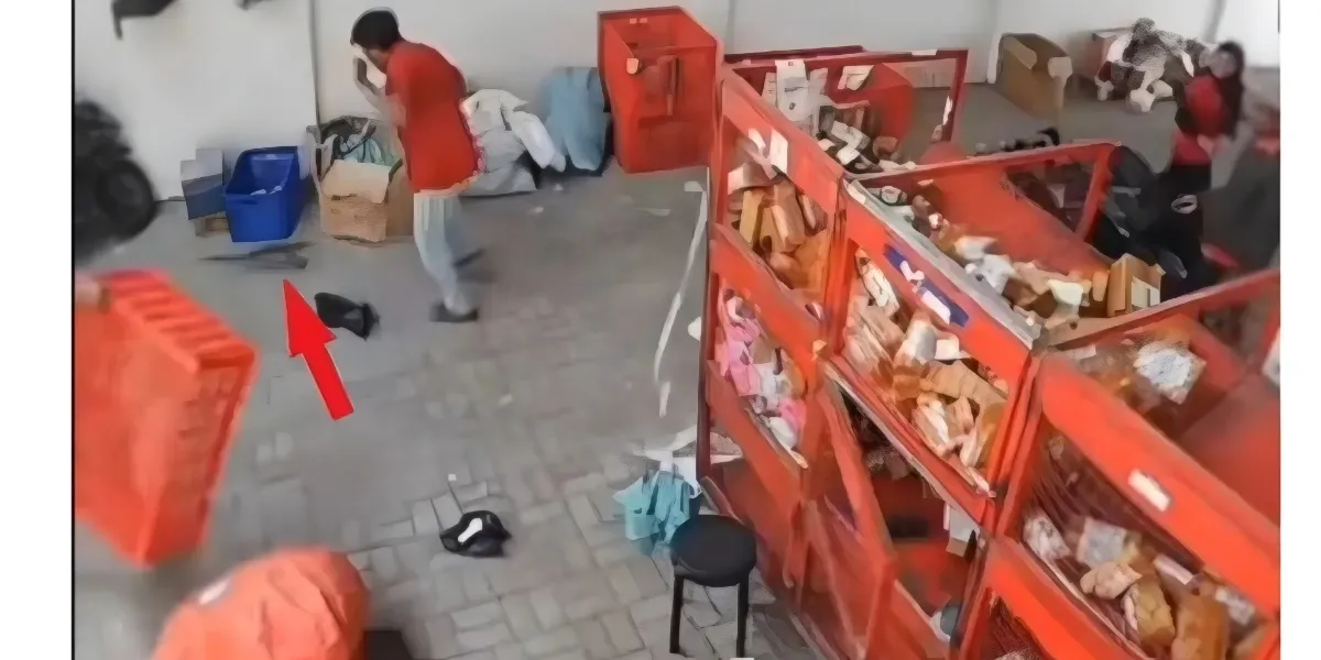 Viral Reptil Lepas dari Paket Kurir Jadi ‘Pemburu di Kantor Ekspedisi