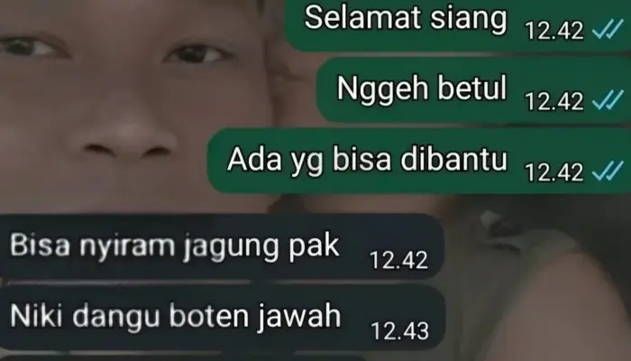 Viral! Warga Tuban Minta Damkar Siram Jagung Layu, Responsnya Bikin Ngakak