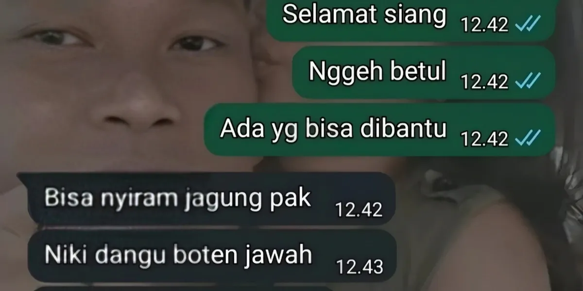 Warga Tuban Minta Bantuan Damkar Siram Tanaman Jagung, Responsnya Bikin Ngakak