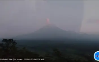 Aktivitas Vulkanik Gunung Semeru Meningkat, Kolom Abu Terpantau Tebal