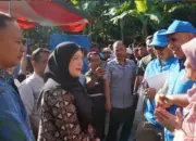 Eva Dwiana Hadiri Penyembelihan Hewan Kurban, 36 Ekor Sapi Dibagikan untuk Warga Bandar Lampung