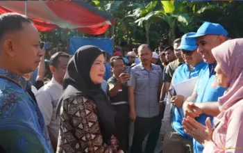 Eva Dwiana Hadiri Penyembelihan Hewan Kurban, 36 Ekor Sapi Dibagikan untuk Warga Bandar Lampung