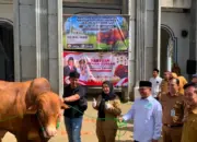 Eva Dwiana Serahkan Bantuan Sapi Kurban Presiden Seberat 1 Ton di Pondok Pesantren Madarijul Ulum 10 Eva Dwiana Salurkan Sapi Kurban Bantuan Presiden Berbobot 1 Ton ke Ponpes Madarijul Ulum