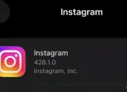 Followers Instagram Turun Drastis Netizen Curiga Ada Pembersihan Akun Massal