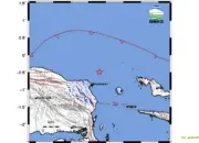 Gempa M45 Guncang Manokwari Subuh Hari Getaran Terasa Hingga Skala III MMI
