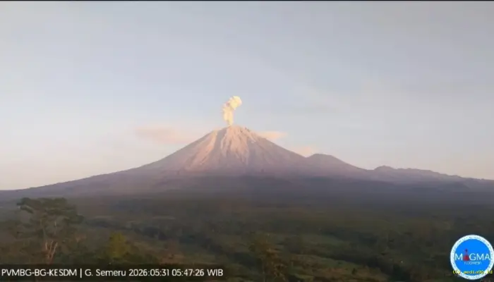 Gunung Semeru Erupsi Hari Ini, Letusan 130 Detik Picu Imbauan Waspada bagi Masyarakat