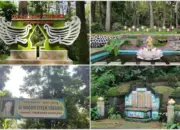 Healing Tipis-Tipis di Magelang! 6 Wisata Seru yang Bikin Liburan Makin Asyik